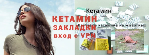 спиды Пересвет