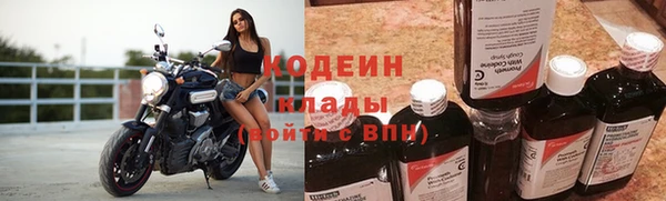 спиды Пересвет
