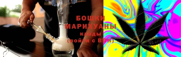 спиды Пересвет