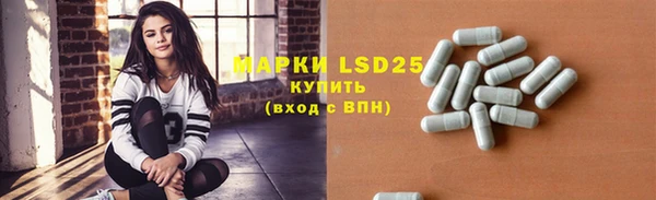 индика Покров