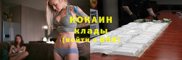 ПСИЛОЦИБИНОВЫЕ ГРИБЫ Пестово