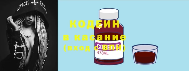 прущие грибы Вуктыл