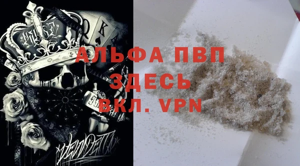 ПСИЛОЦИБИНОВЫЕ ГРИБЫ Пестово
