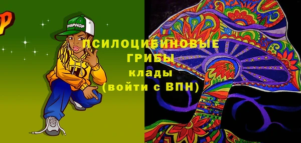 индика Покров