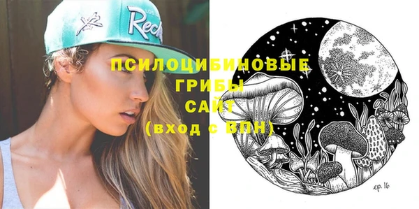 индика Покров