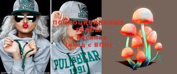 индика Покров