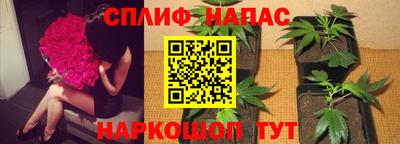 дмт Волжский