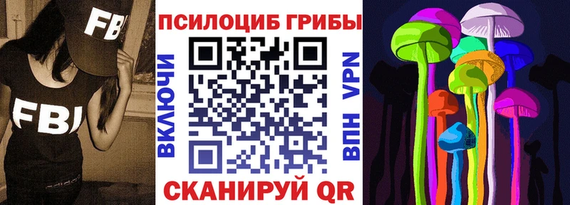 купить  цена  Губкинский  сайты даркнета формула  Галлюциногенные грибы Magic Shrooms 