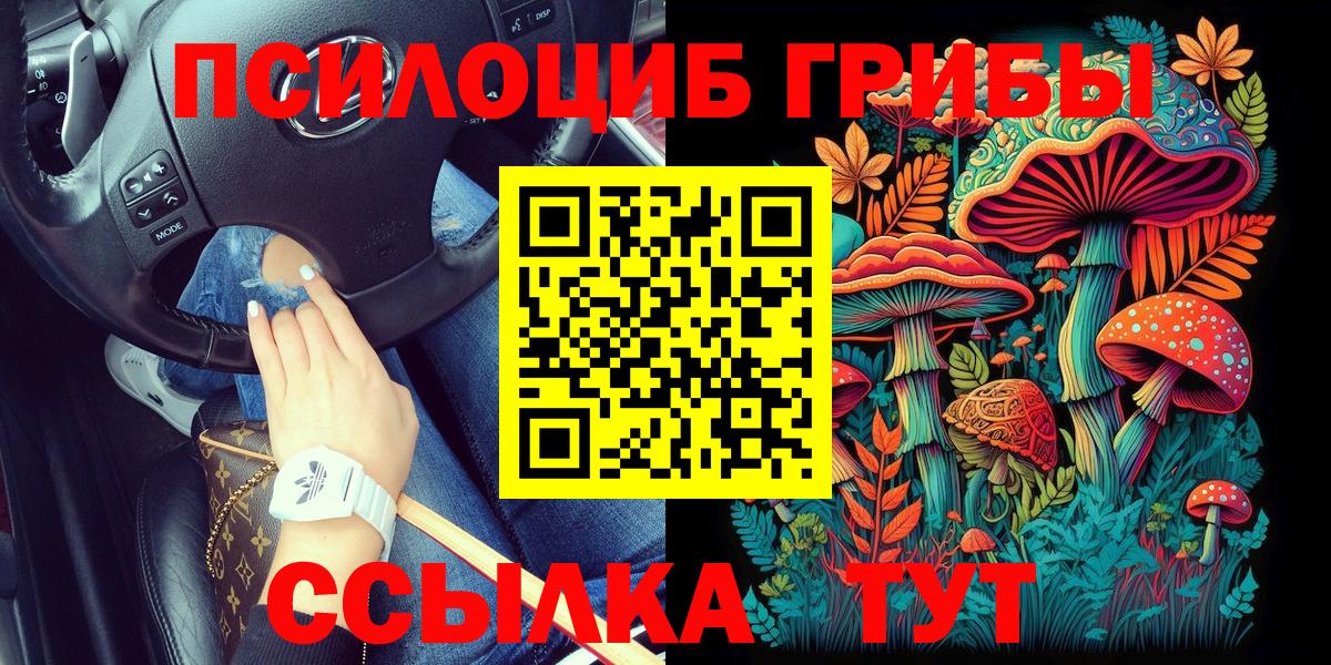 Галлюциногенные грибы прущие грибы Губкинский