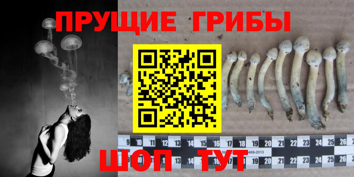 Галлюциногенные грибы MAGIC MUSHROOMS Губкинский