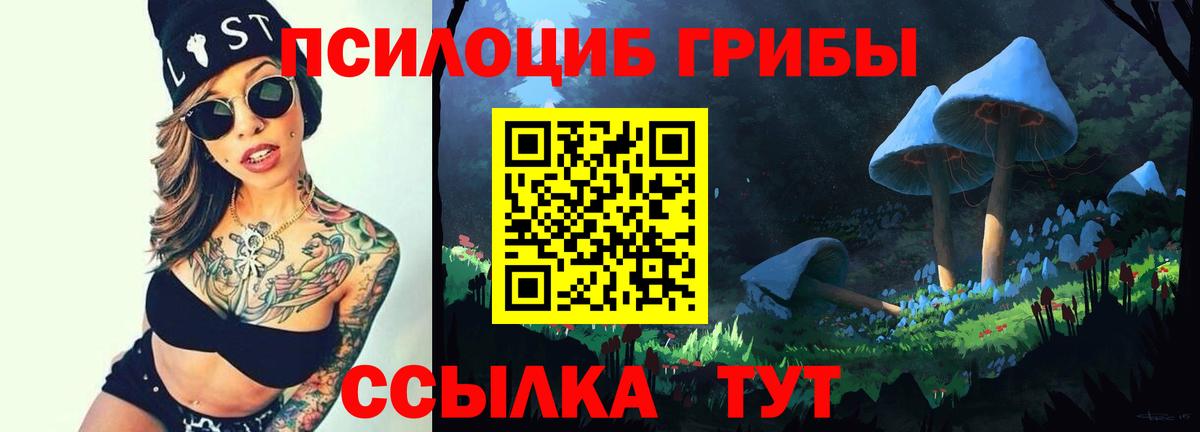 Галлюциногенные грибы ЛСД  Вход с VPN  Галлюциногенные грибы прущие грибы  Губкинский 