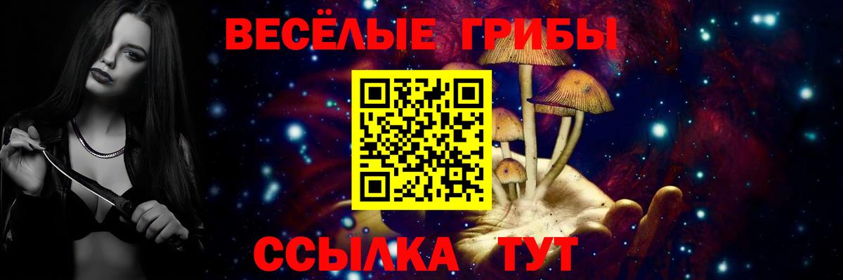 Губкинский  Галлюциногенные грибы Psilocybe  наркота  Вход с VPN 